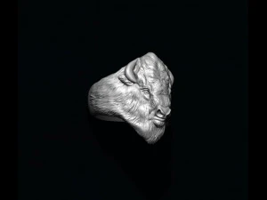 Buffalo ring 3D Print Model