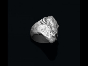 Buffalo ring 3D 打印模型