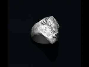 Buffalo ring 3D Print Model