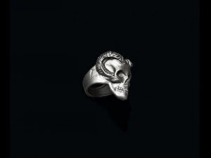 Skull with horns ring 3D Print Model