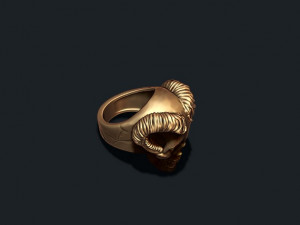 Skull with horns ring 3D Print Model