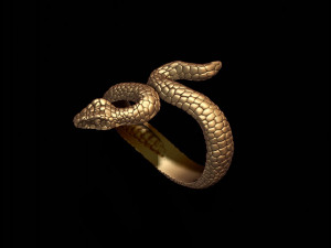 Snake ring Modelo de Impressão 3D