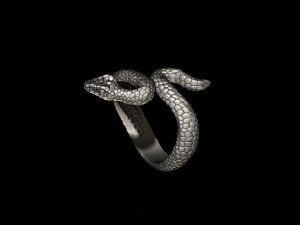 Snake ring Modelo de Impressão 3D
