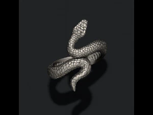 Anel de cobra Modelo de Impressão 3D
