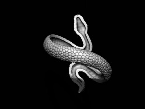 Snake ring v2 3D print model 3D Print Model
