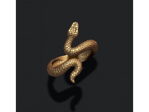 Snake ring v2 3D print model 3D Baskı Modeli