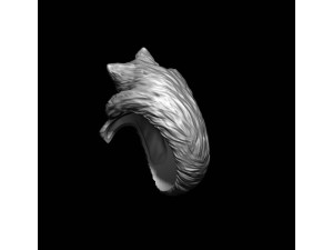 Cat ring 3D print model 3D 打印模型