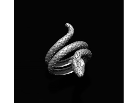 Snake ring 3D print model Modèles 3D en vedette