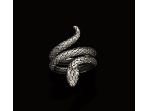 Snake ring 3D print model Modèles 3D en vedette