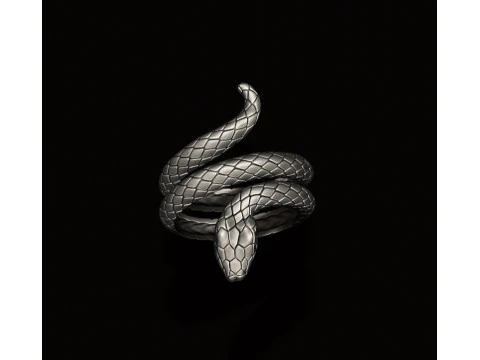 뱀 반지 3D 프린트 모델 3D 프린트 모델