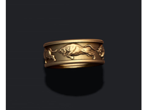 Bull ring 3D print model 3D-Druckmodell