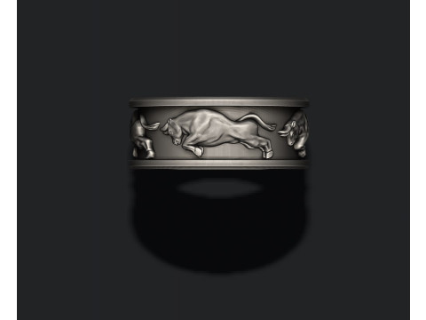 Bull ring 3D print model 3D-Druckmodell