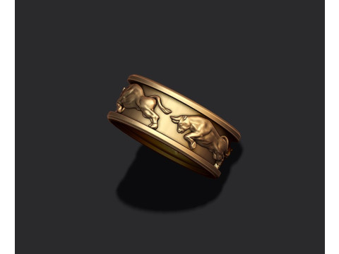 Bull ring 3D print model 3D-Druckmodell