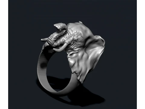 Elephant ring pendant v1 pack 3D Print Model
