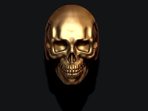 Skull ring pendant pack 3D Print Model