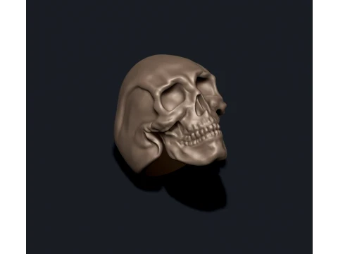 Skull ring pendant pack 3D Print Model