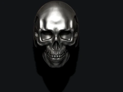 Skull ring pendant pack 3D Print Model