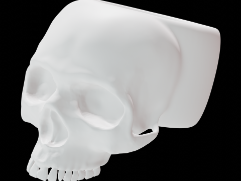 Metal skull ring 3D Model