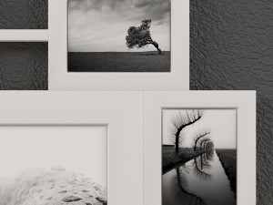 frame set-001 3D Model