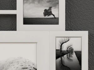 frame set-001 3D Model