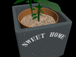 pot with the plant 3Dモデル