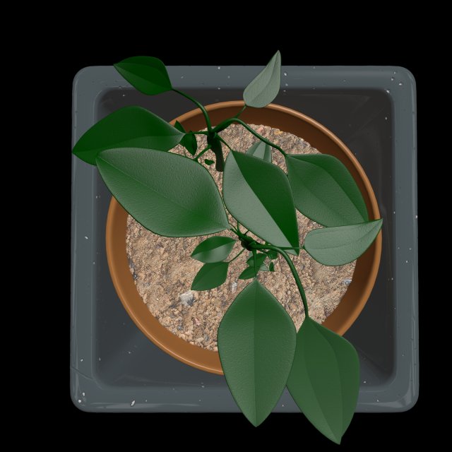 pot with the plant 3Dモデル .c4d .max .obj .3ds .fbx .stl .blend 