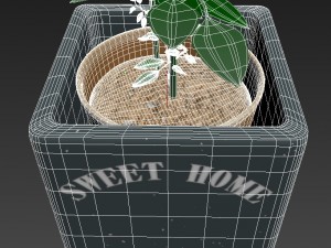 pot with the plant 3Dモデル