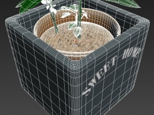 pot with the plant 3Dモデル