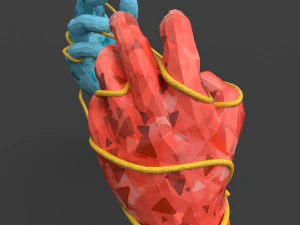 hands tied up with a rope 3D Model
