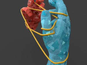 hands tied up with a rope Model 3D