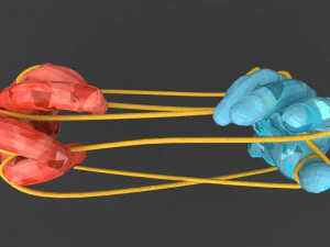 hands tied up with a rope 3D Model