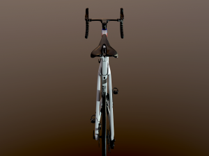 Trek madone world champion mads pedersen edition Modelo 3D