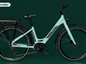 Bianchi long island e-bike 3D Model