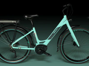 Bianchi long island e-bike 3D Model