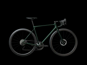 Bicicleta de estrada verde Modelo 3D