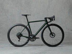 Green roadbike 3D Model