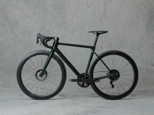 Green roadbike 3D Model