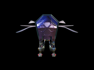 Insect Model 3D