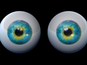 blueeye 3D Model