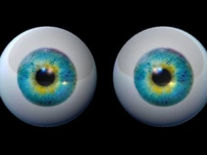 голубоглазый 3D Модель