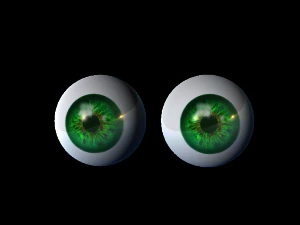 greeneyes 3D Model