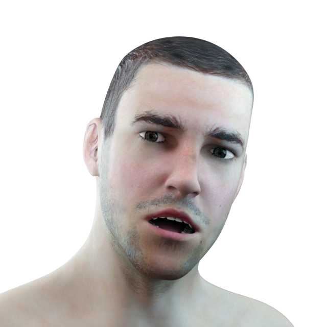 male head rigged model 3D 모델 .c4d .max .obj .3ds .fbx .stl .blend 
