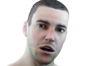 male head rigged model 3D Model