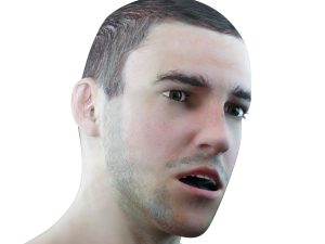 male head rigged model 3D 모델
