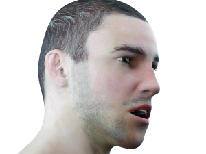 male head rigged model 3D 모델