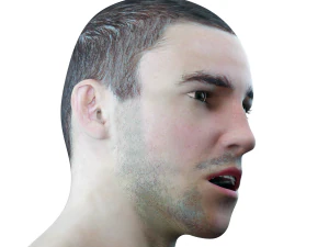 male head rigged model 3D Model