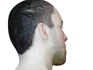 male head rigged model 3D Model