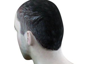male head rigged model 3D Model