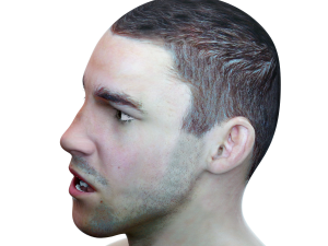 male head rigged model 3D 모델