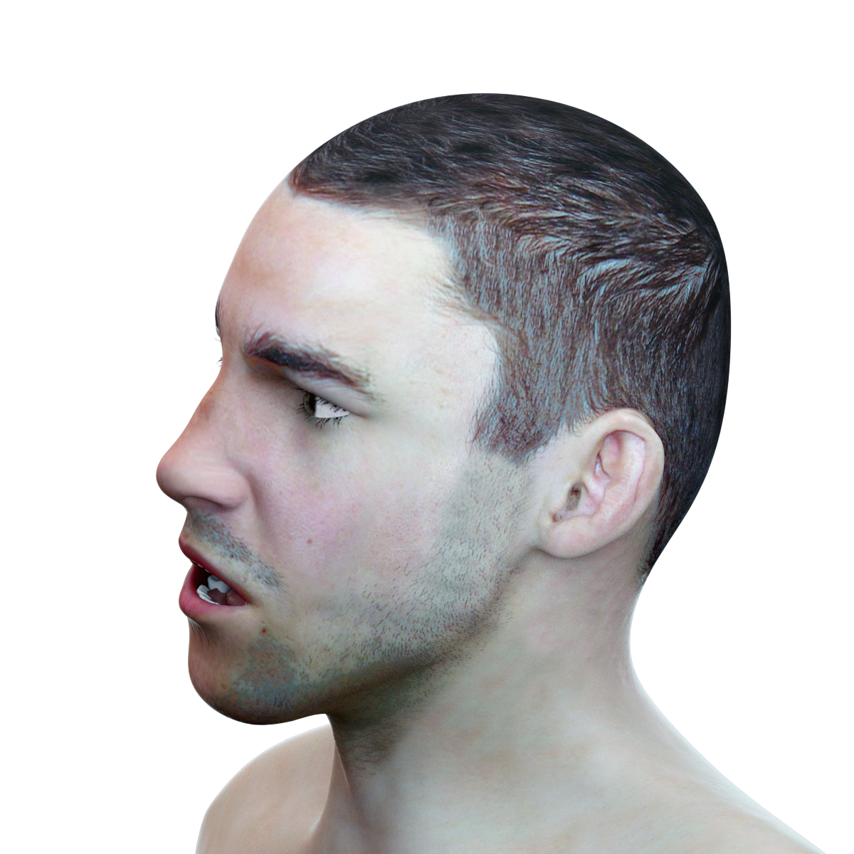 Male head. Male head 3d model.